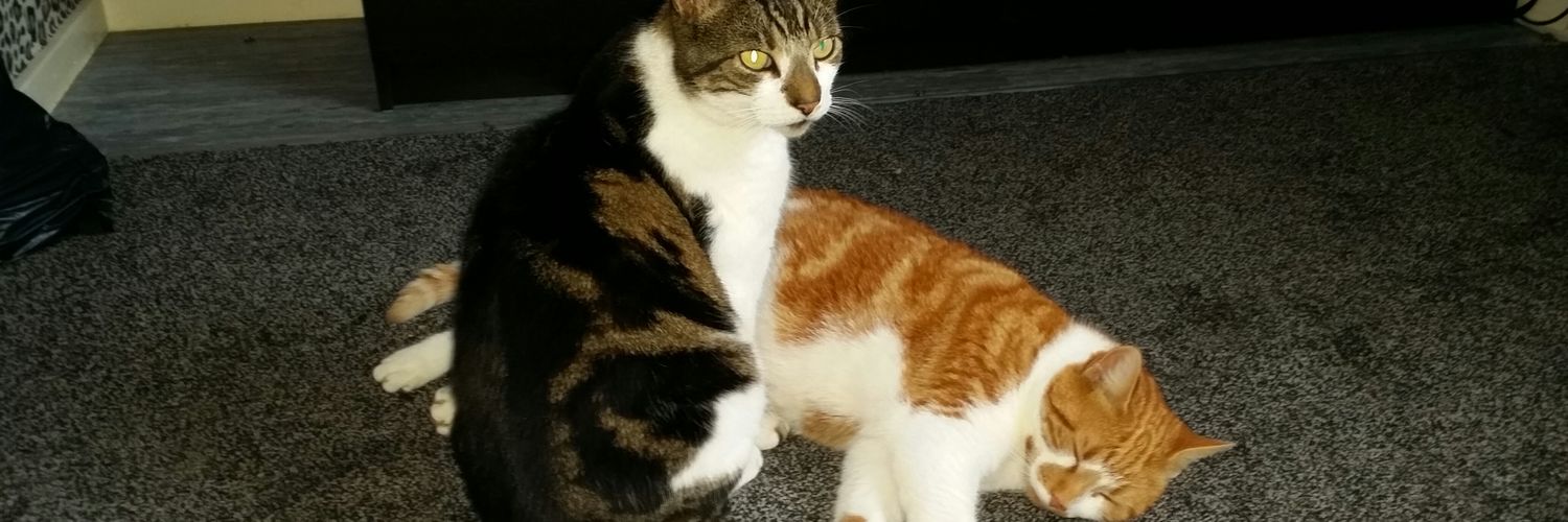 Gareth Smith 🇬🇧 banner