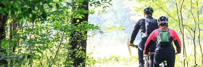 MopdeV's profile banner image