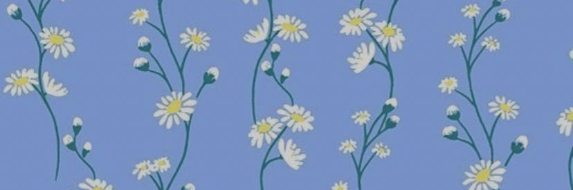 mermaid______A's profile banner image