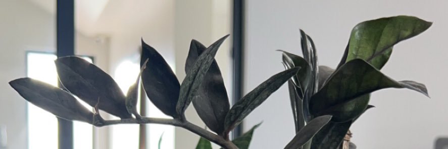 NareshVerse's profile banner image