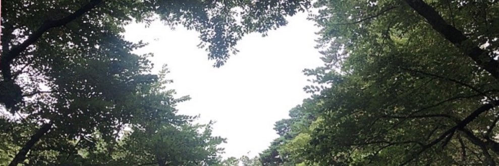 hsjmsdgai's profile banner image