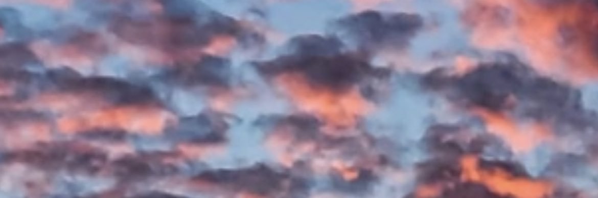 Dave Robertson banner