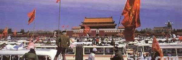 nt20032's profile banner image