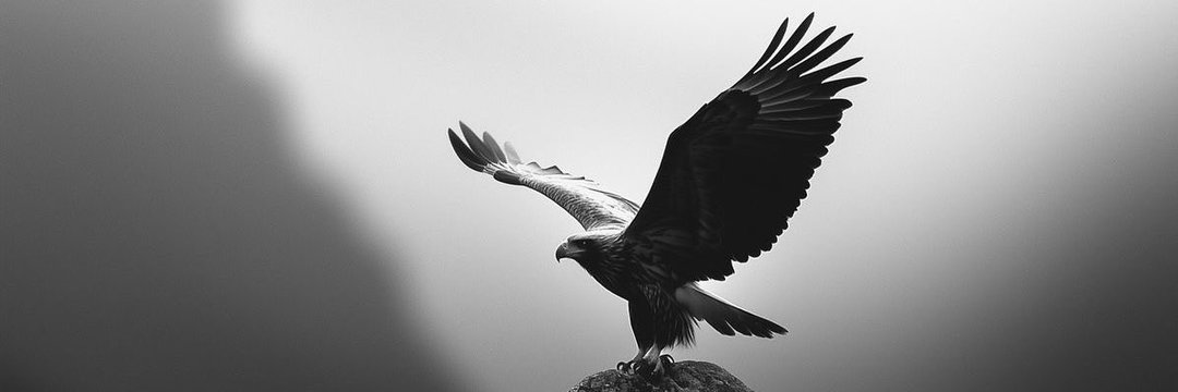 OLUWAFEMI_6's profile banner image
