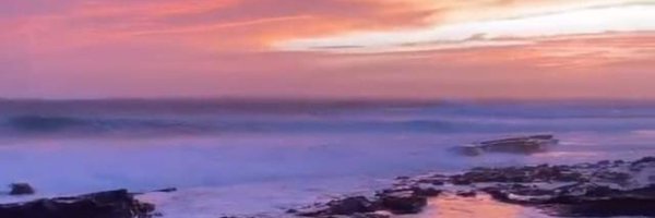 Toxicolly Profile Banner