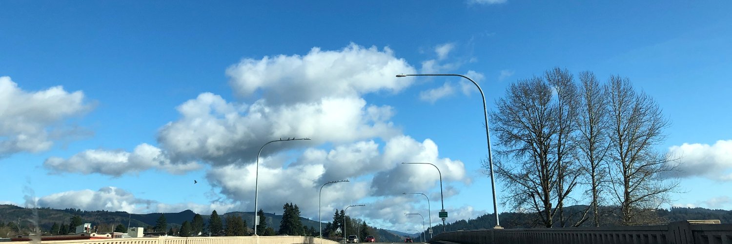 KathrinZimber banner