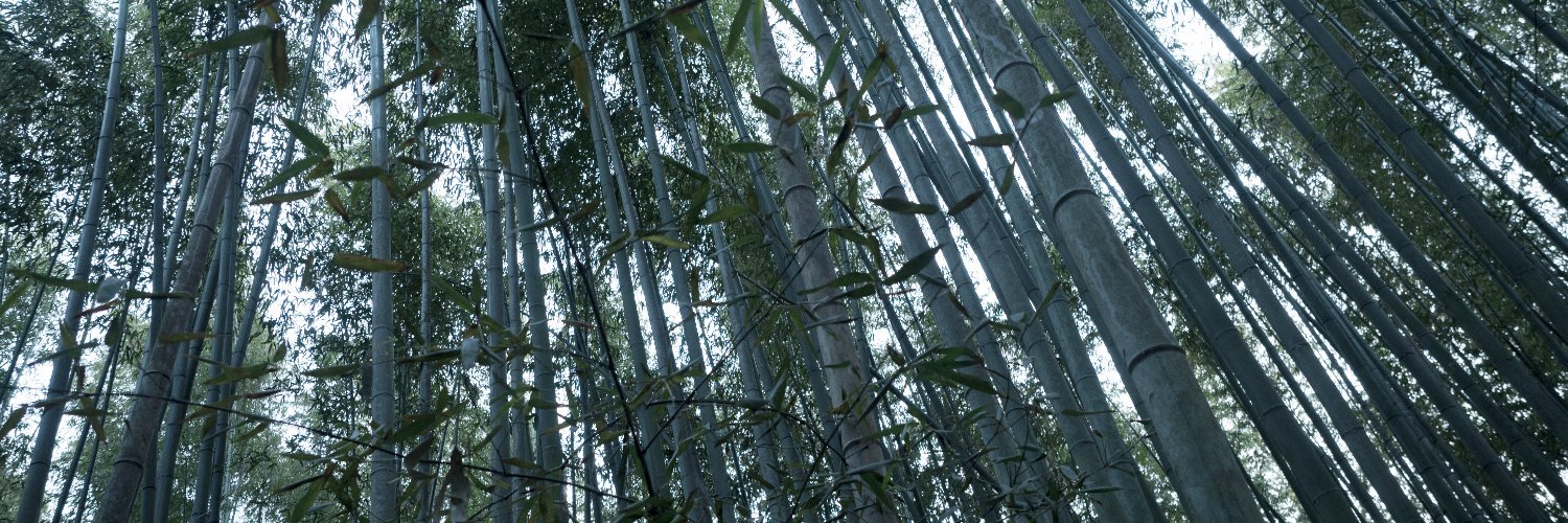 disizkole's profile banner image