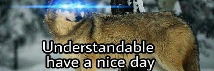 sonofashepherd6's profile banner image