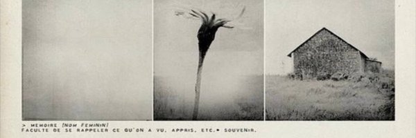 muselinaltazor Profile Banner