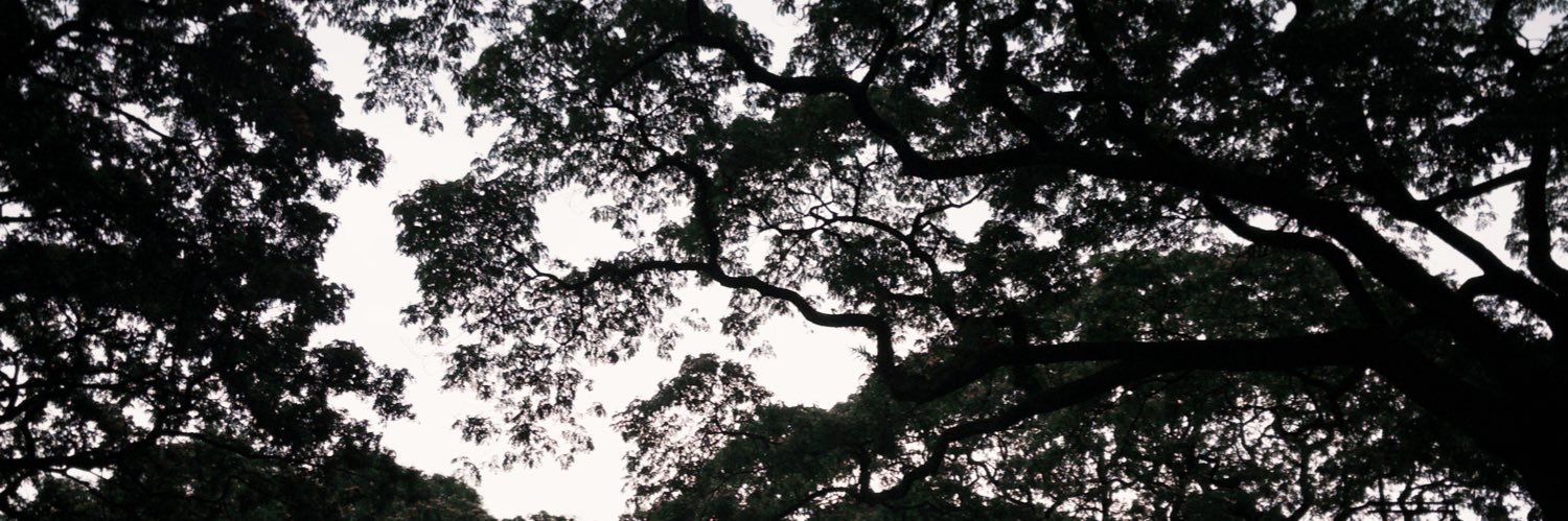 kyla t banner