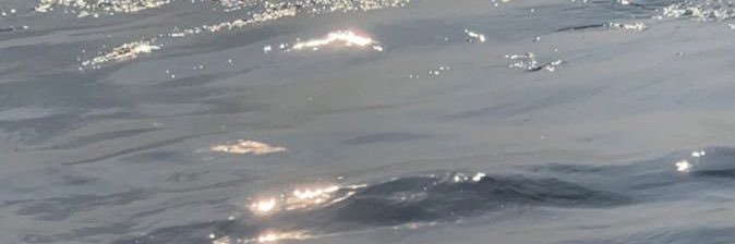 _iiDec's profile banner image
