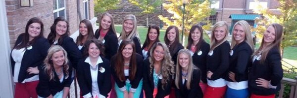 Chainmaster Profile Banner