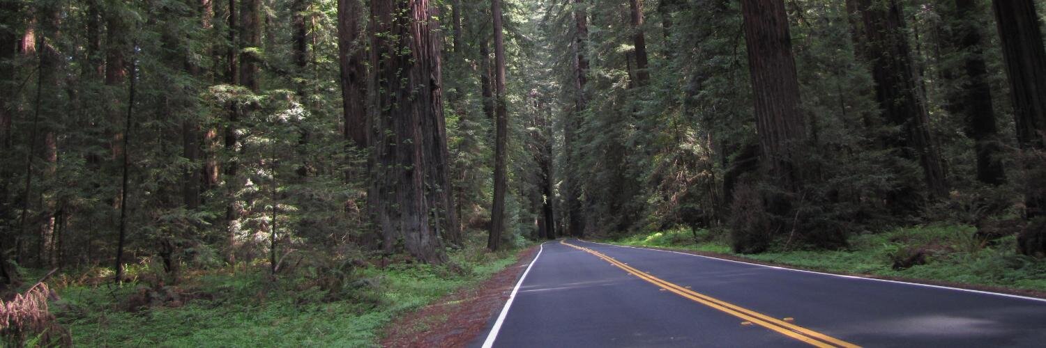 James Riswick banner