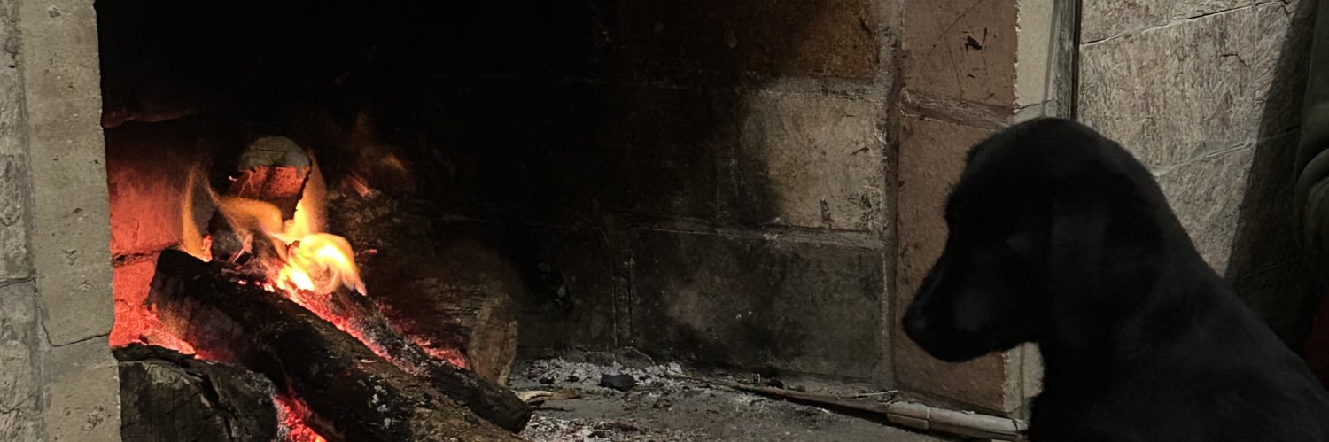 alessatttt's profile banner image