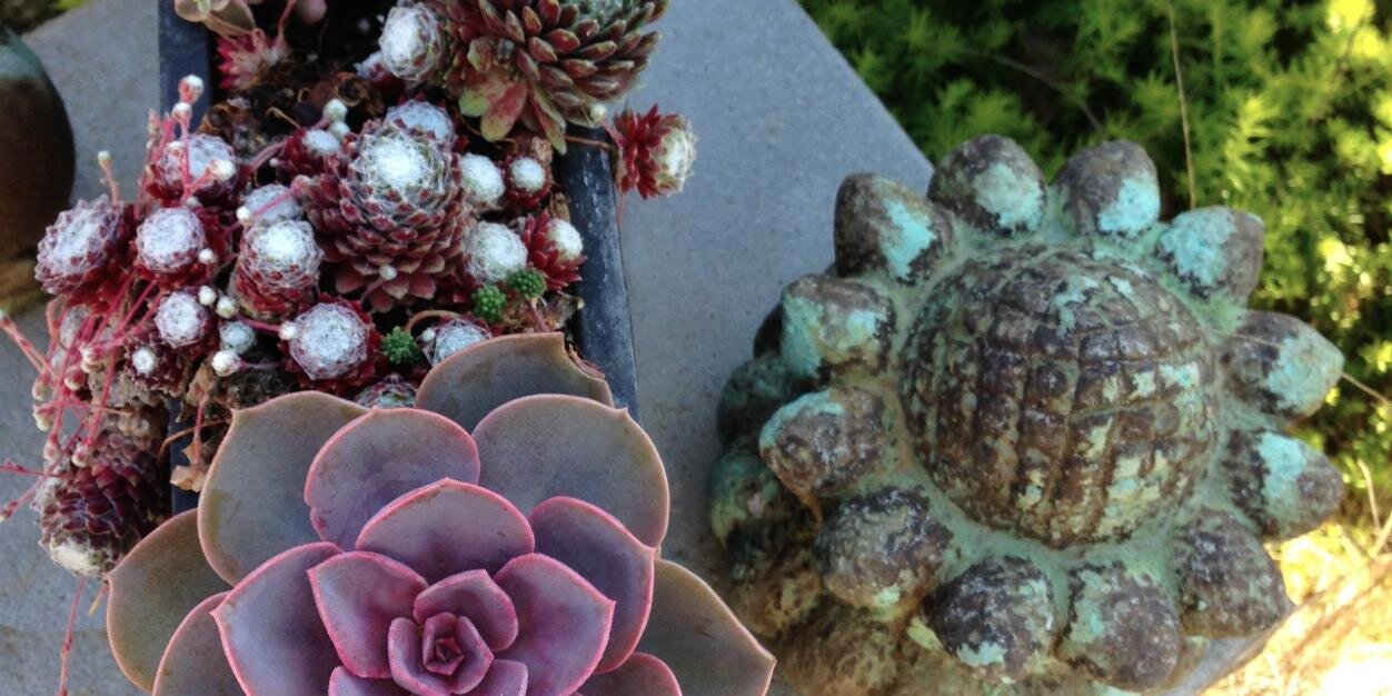 DIGNursery's profile banner image