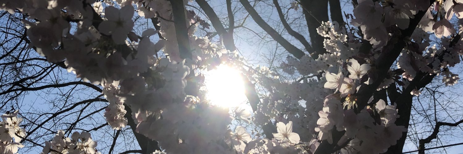 Emma May-Bradley banner