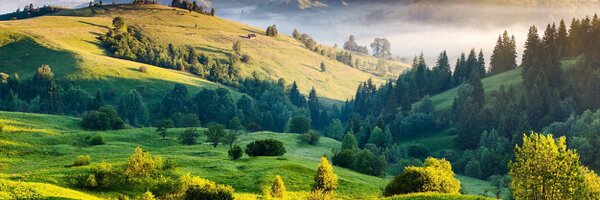 estella_one Profile Banner