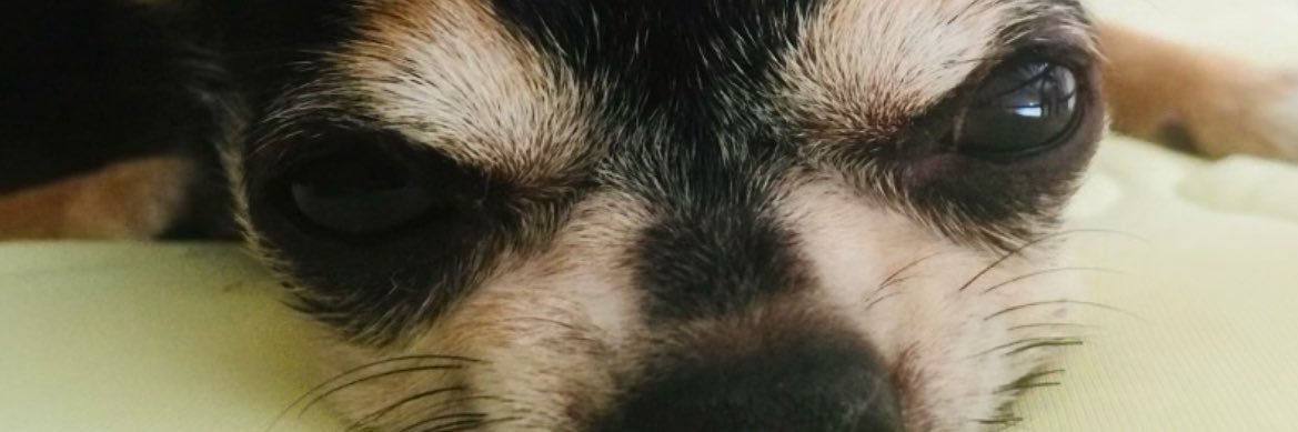 Keeeesuke0427's profile banner image