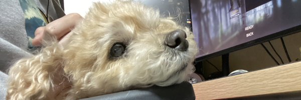 koo8405 Profile Banner