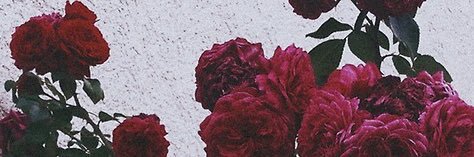 xdamvon's profile banner image