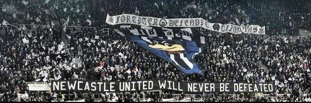 Greig Stewart banner