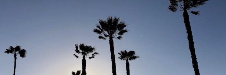 mayusasaki__'s profile banner image