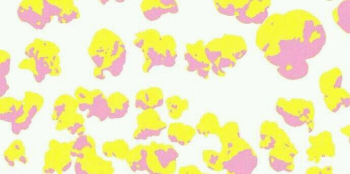 Arashi__jun30's profile banner image