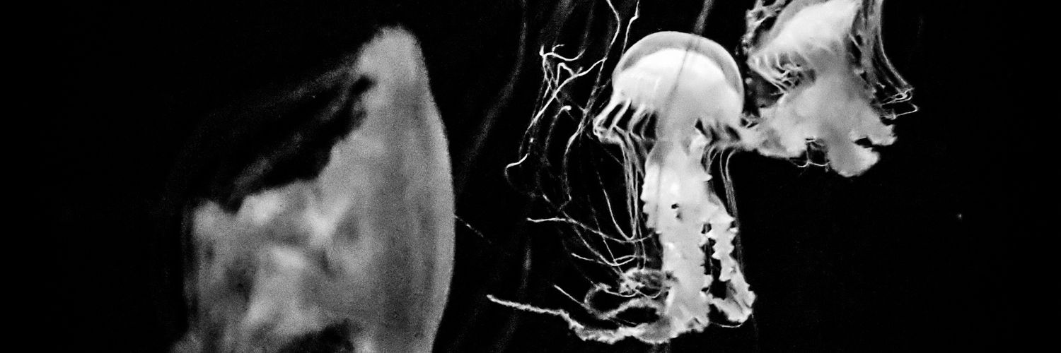 ivan_spires's profile banner image