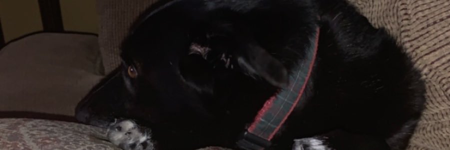 DolleyJustin's profile banner image