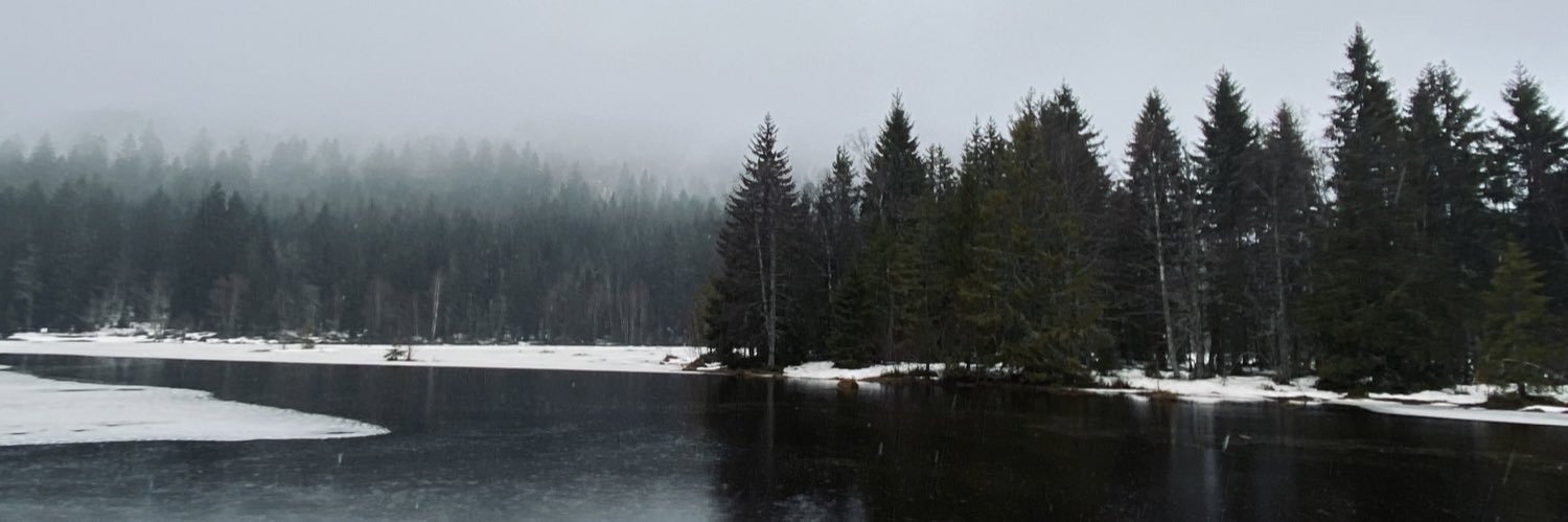 LouiseGrmain's profile banner image