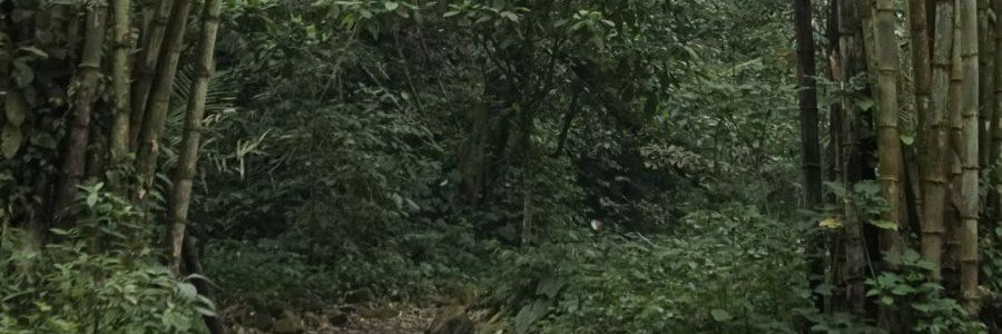 Johnat banner