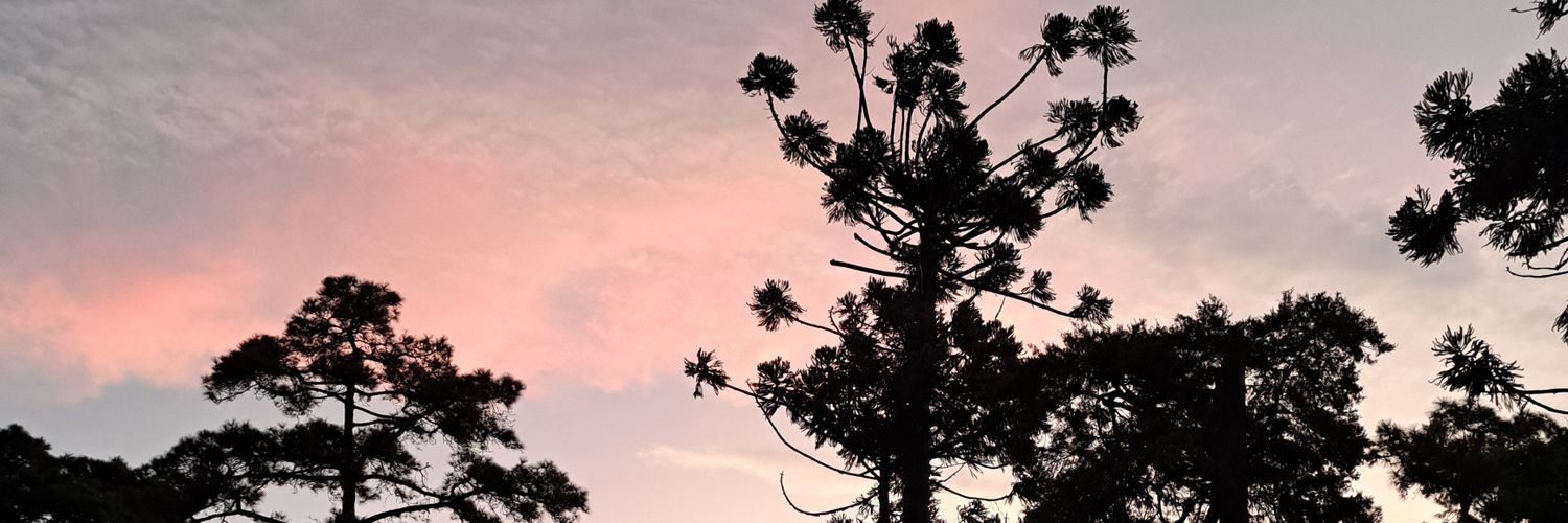 EdgrysGene's profile banner image