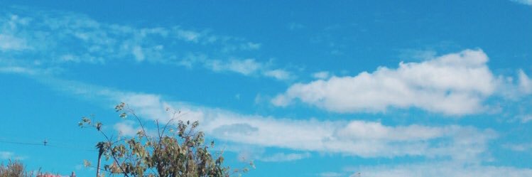 lee_rodrigues's profile banner image