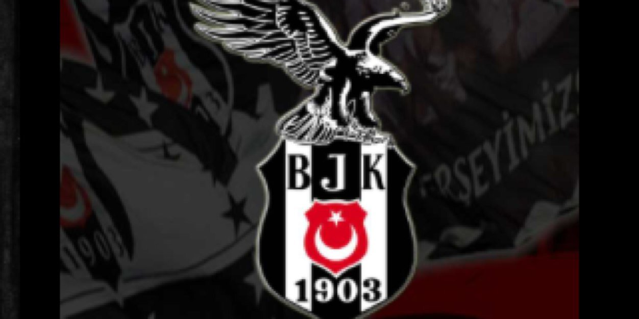 leylasirvan's profile banner image