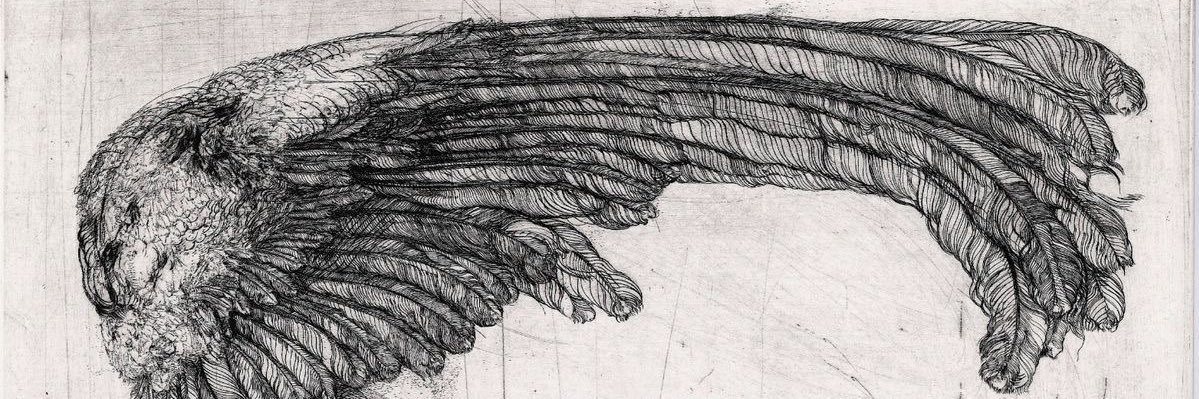 _deathtml_'s profile banner image