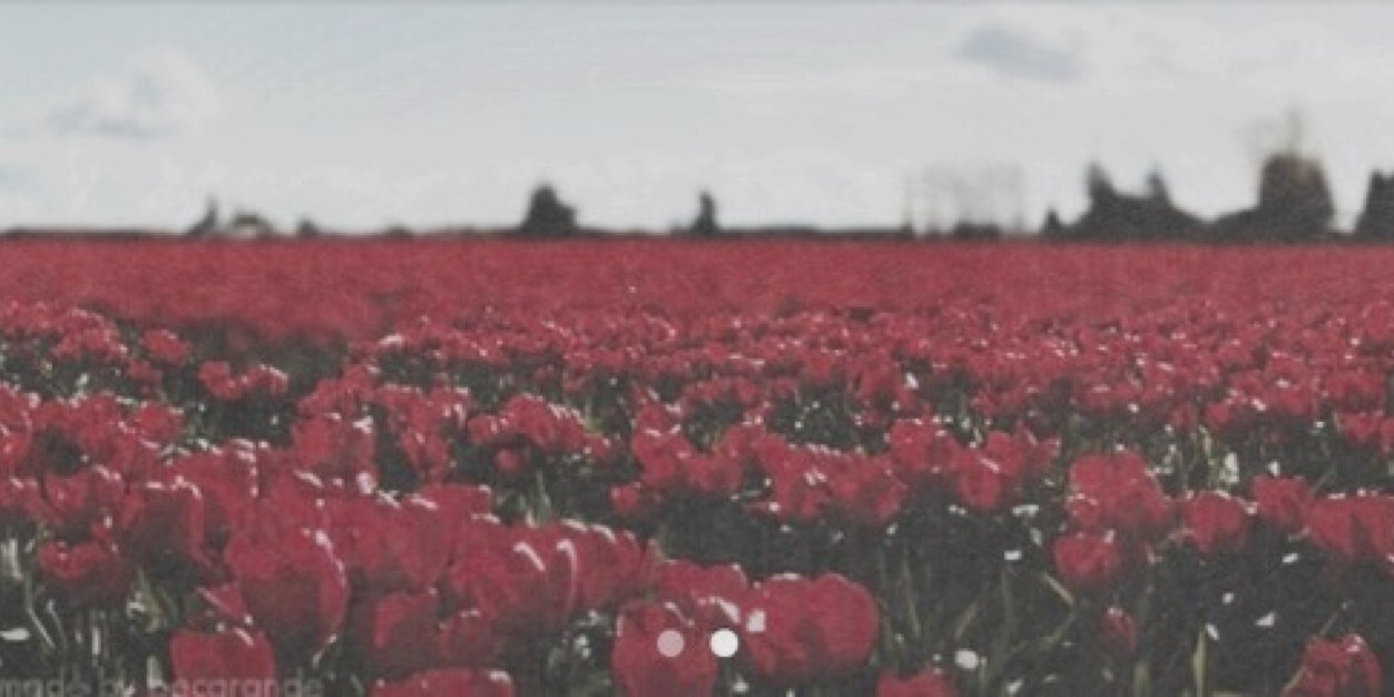 lewis_haggerty's profile banner image