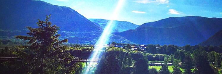 Taylor Rothman banner