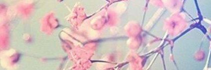Tina MacKay banner