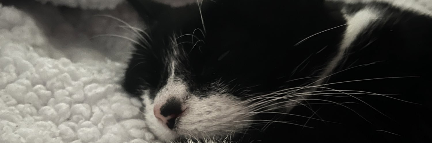 nanci_lwt's profile banner image