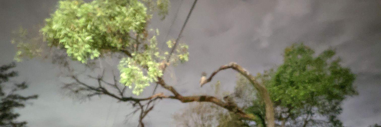 elijiahp's profile banner image