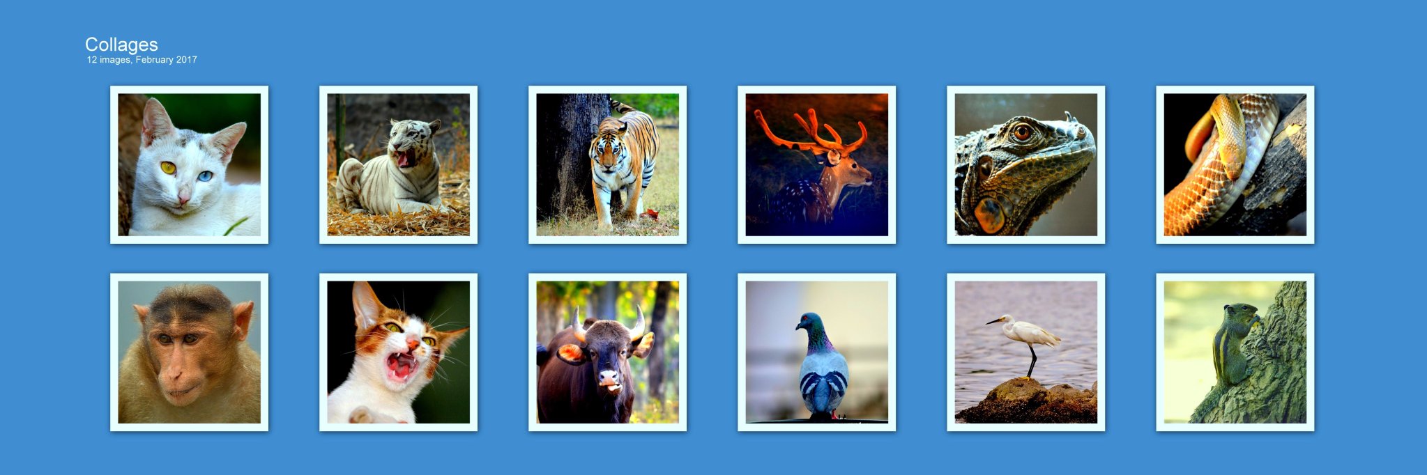picsogasm's profile banner image