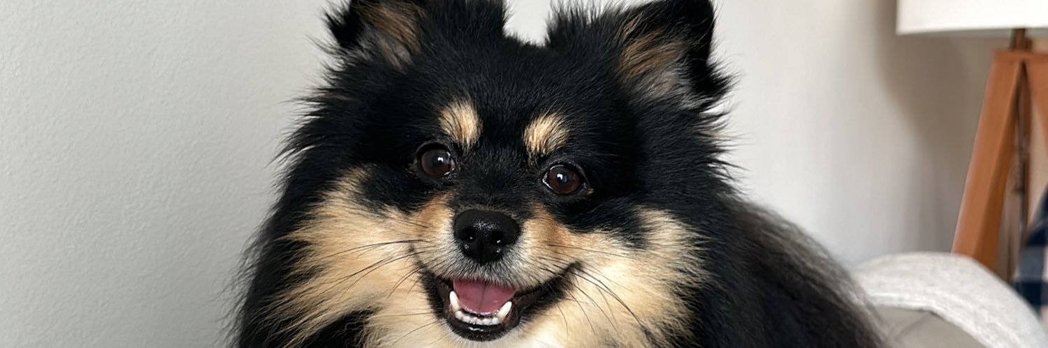 TefiDodera's profile banner image