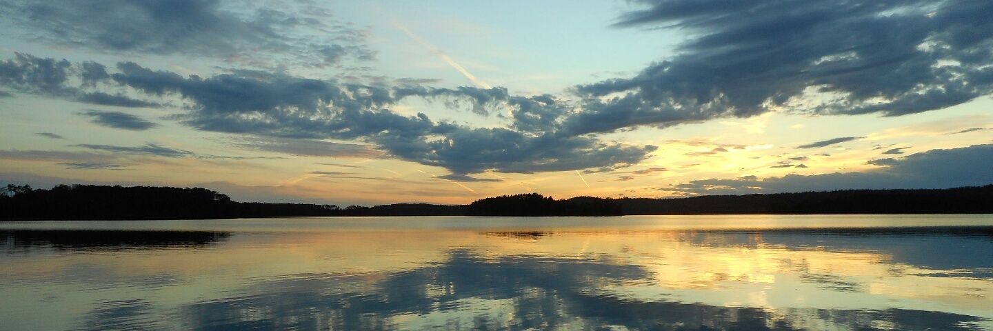 laurabuggs4's profile banner image