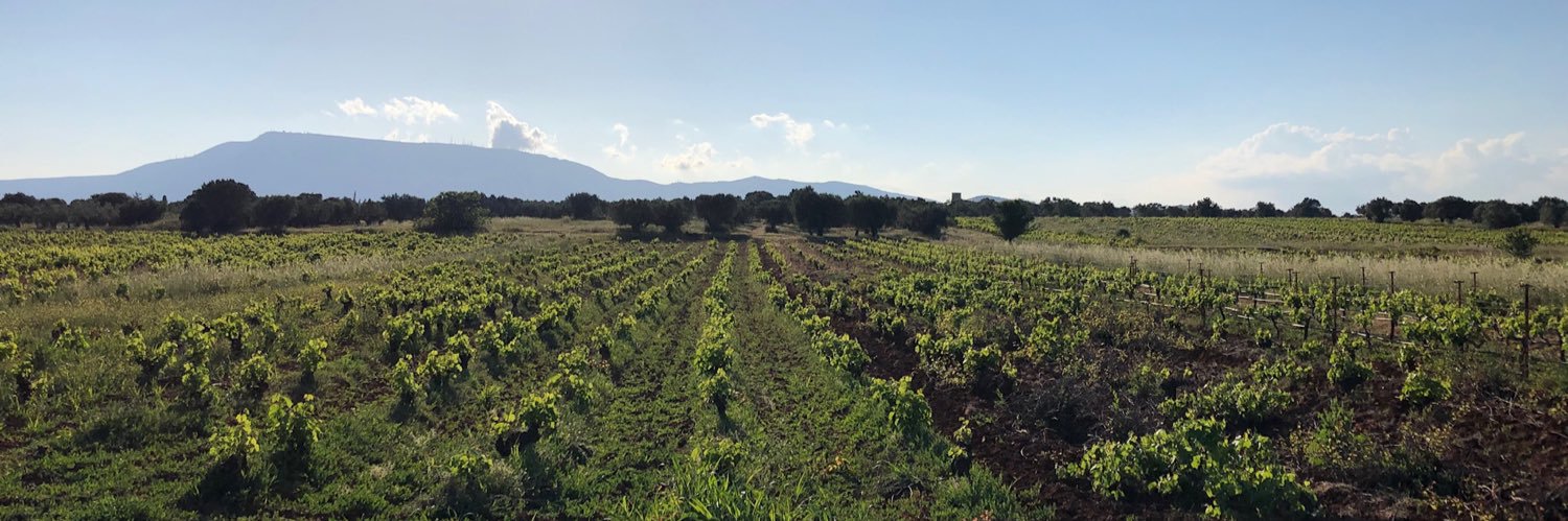 John Papadakis banner