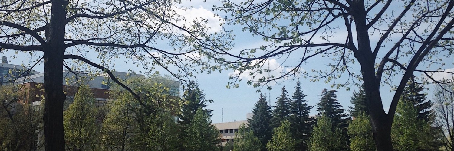 LykaSomebody's profile banner image
