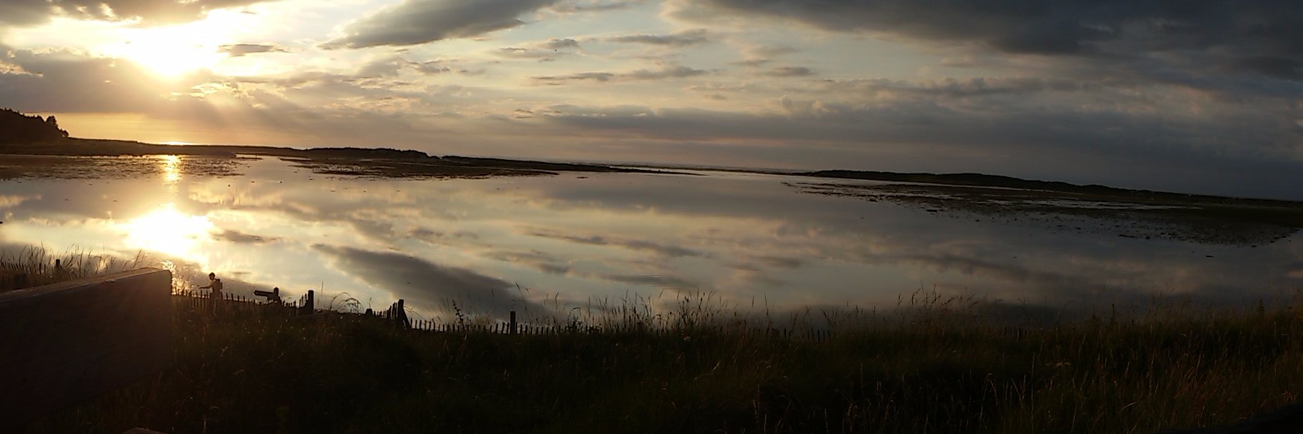 SelbyColeman's profile banner image