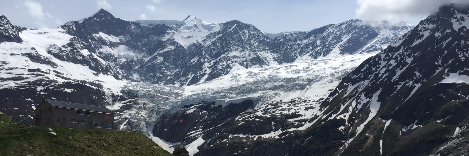 Hartmut Hanke banner