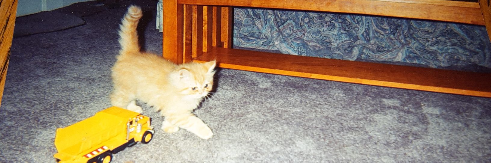 Andrew_Closser's profile banner image