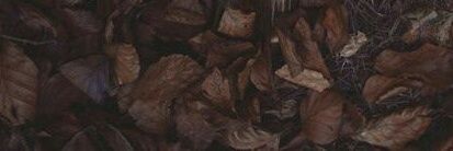 ikalpu0646's profile banner image