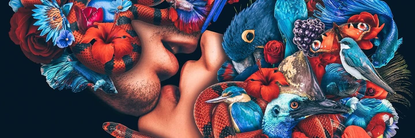 stephMLedwards's profile banner image